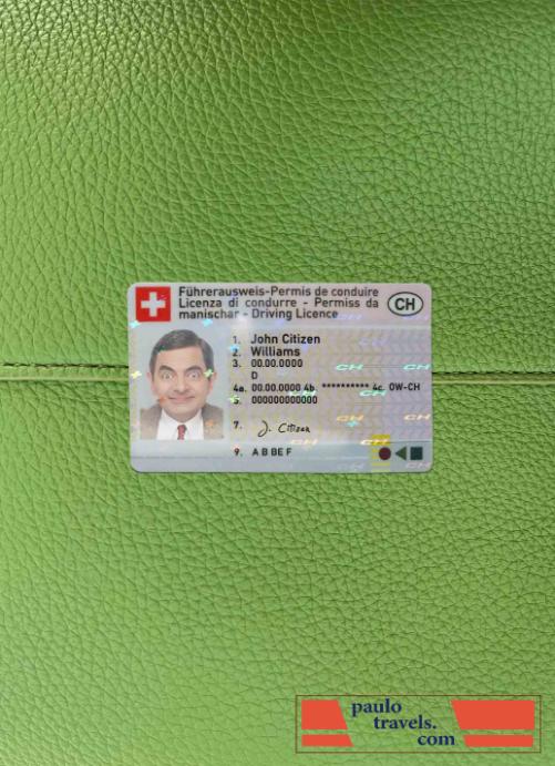 Switzerland DL photolook FRONT PSD template